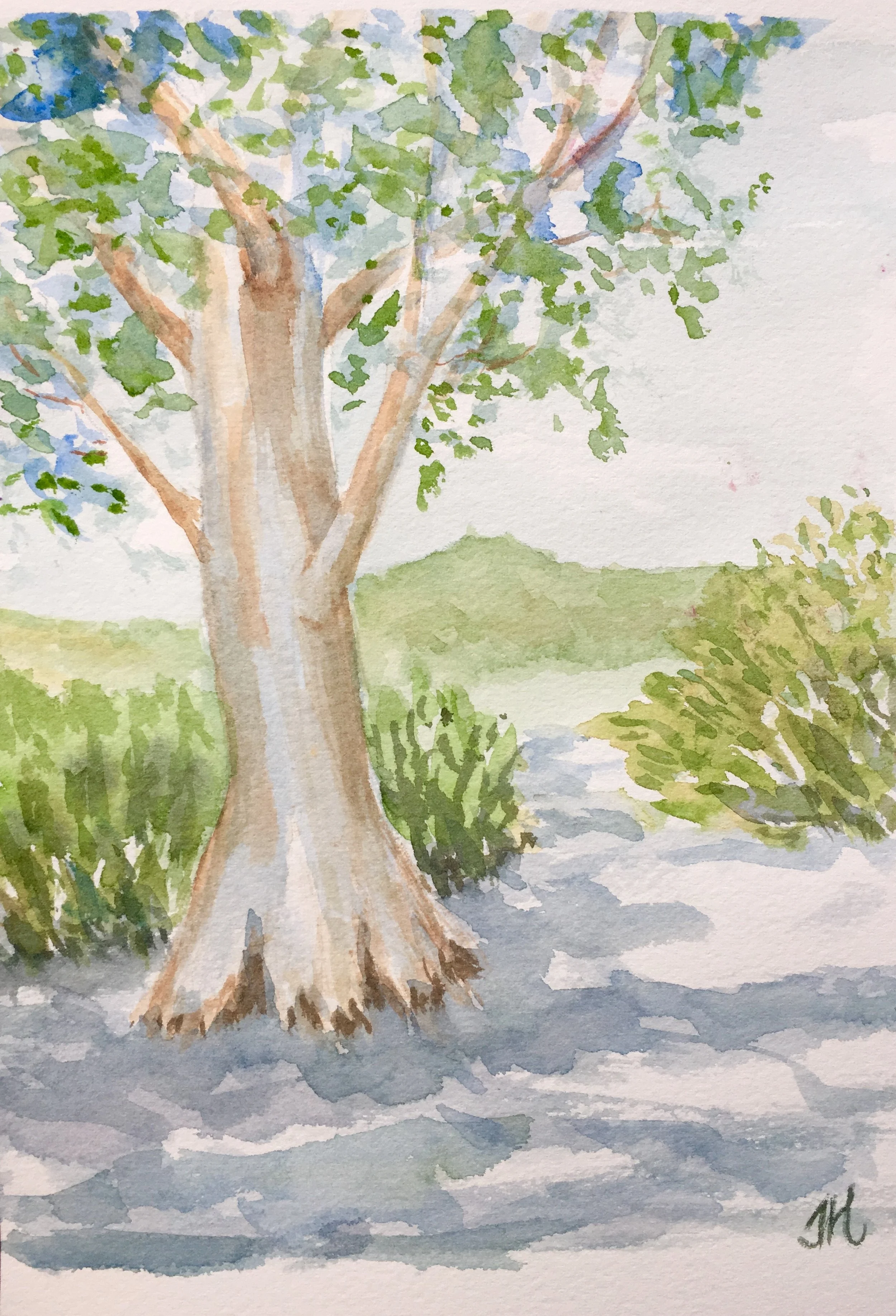 Shady Day Watercolor Class $22