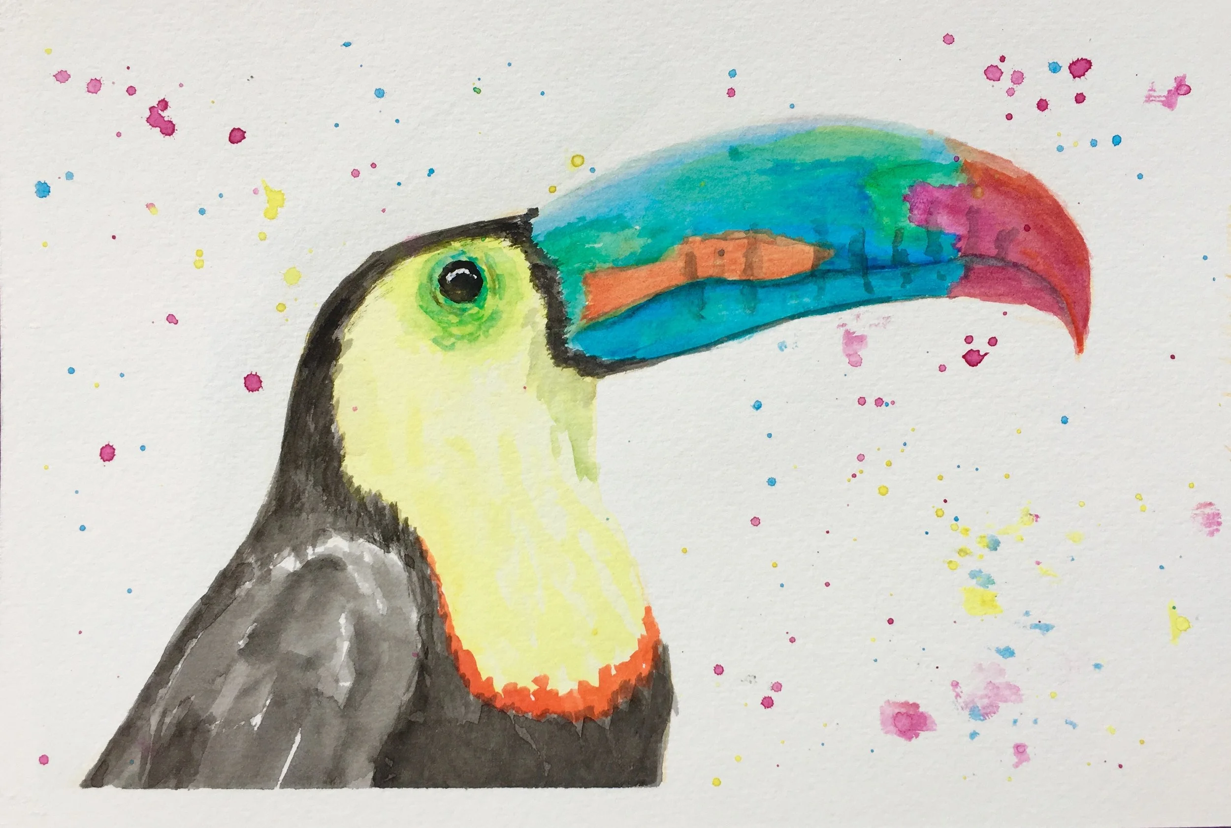 Toucan Watercolor Class $22