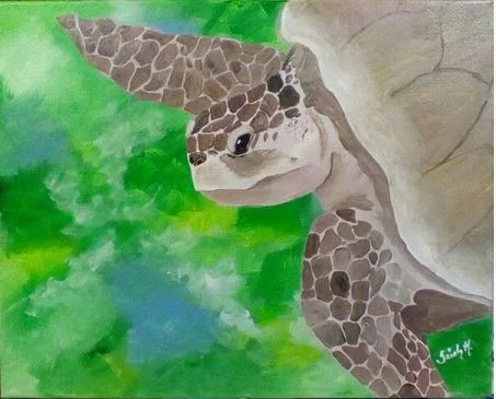 sea turtle.JPG