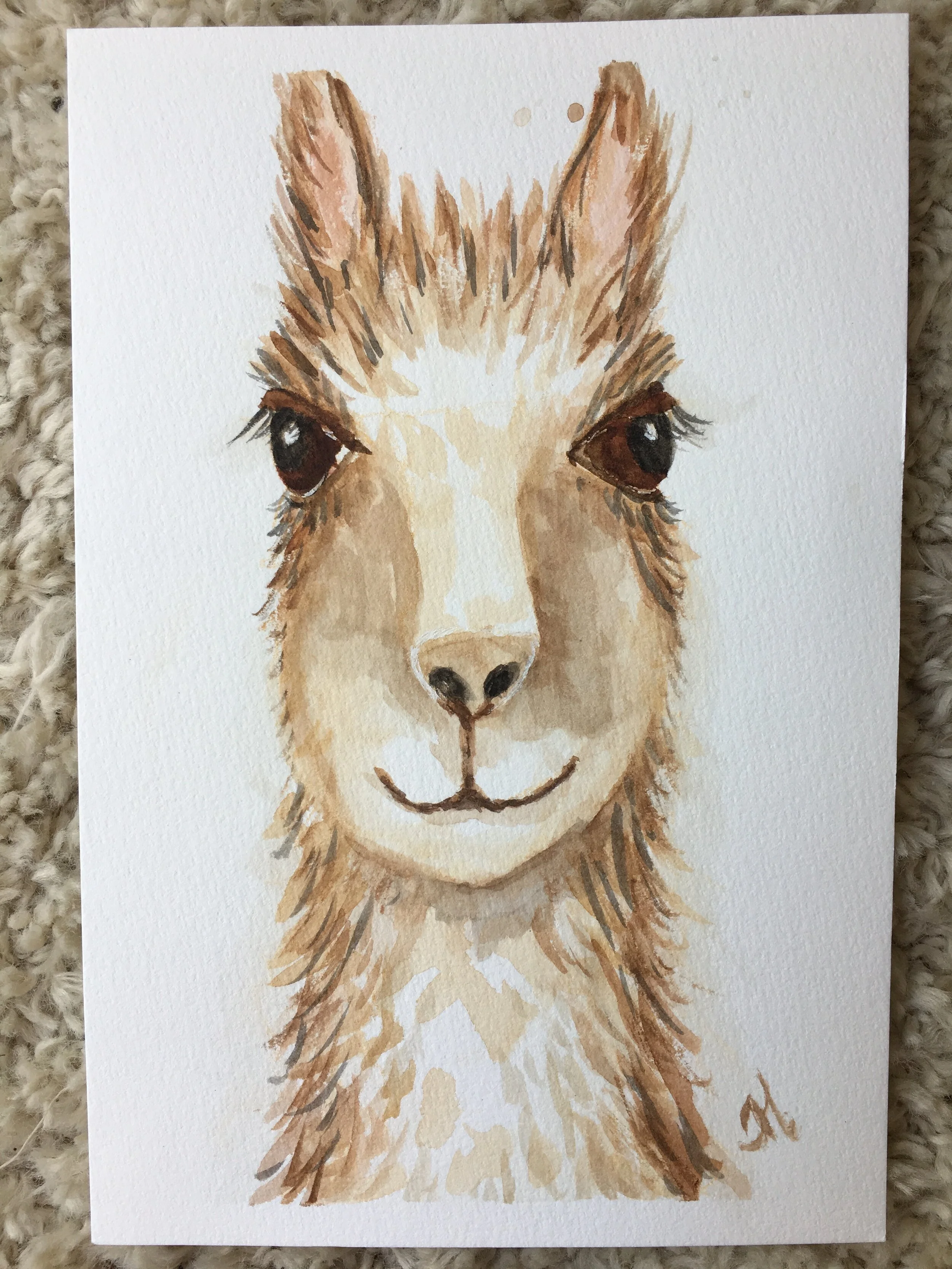 llama.JPG