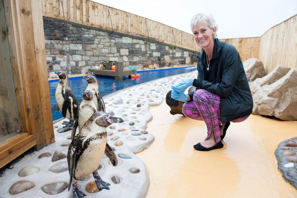 Judy Murray visits her namesake penguins at St Andrews Aquarium, 1st August 2013. The four Humboldt penguins were named Andy, Judy, Kim and Shirley after the Wimbledon champion's clan. © Julie Broadfoot - www.juliebee.co.uk
