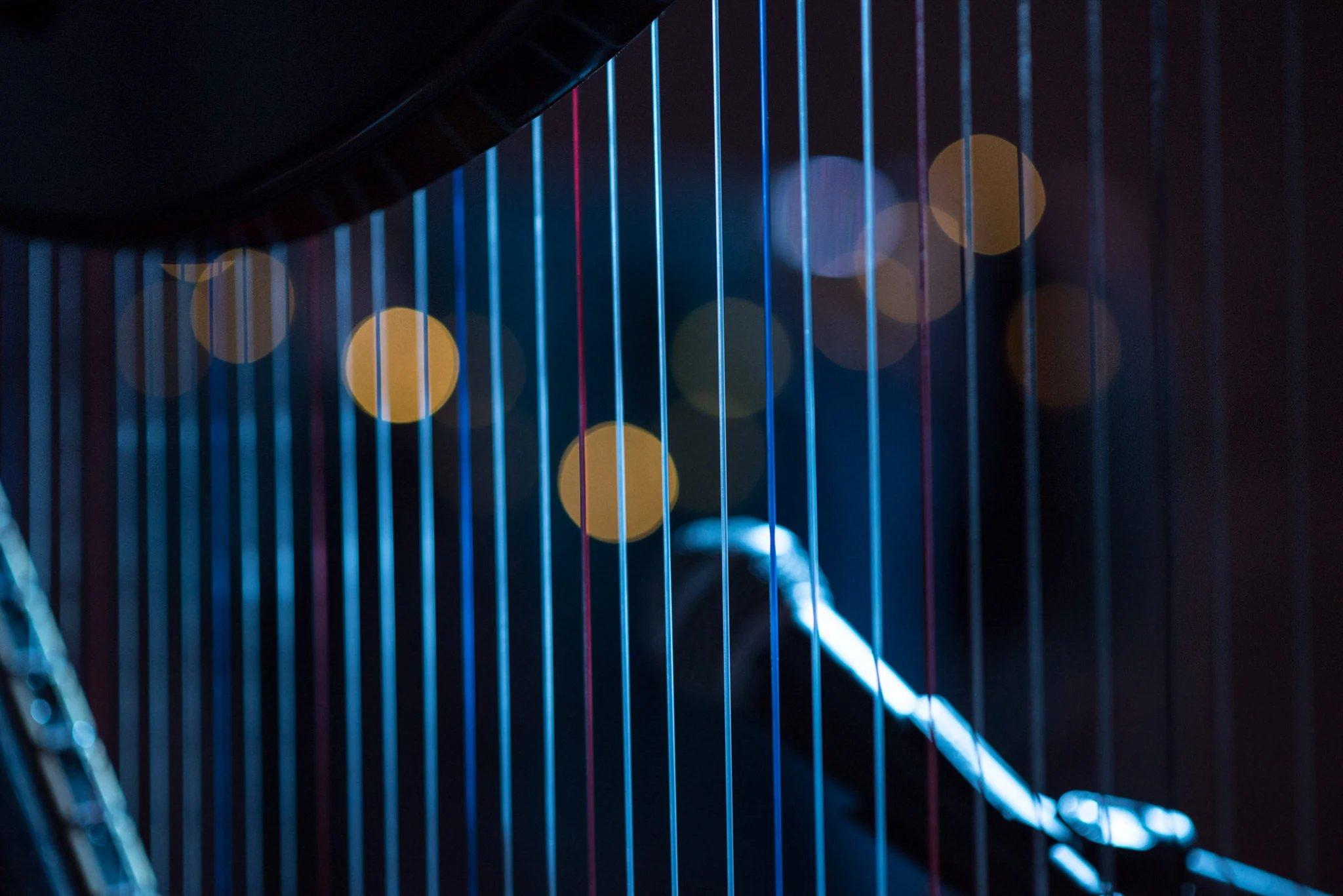 katherine-harrison-harp-live.jpg
