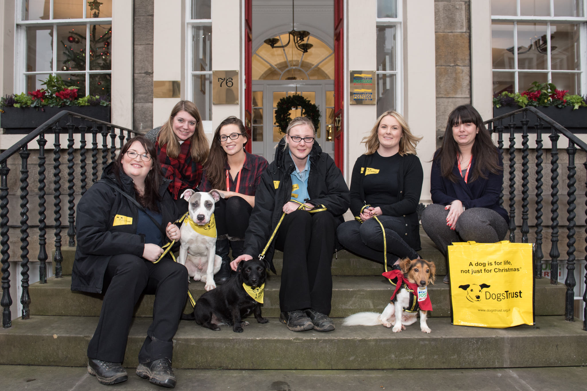  Dogs Trust visit to People's Postcode Lottery - Edinburgh - 15 December 2015 © Julie Broadfoot - www.juliebee.co.uk 