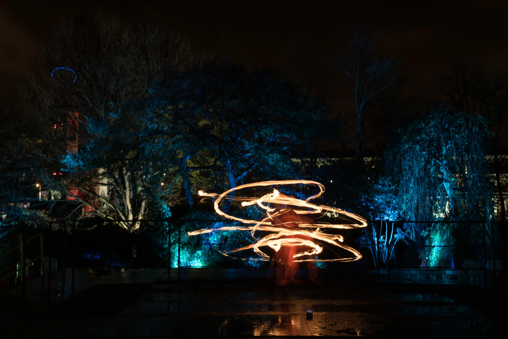 Electric Gardens - Glasgow Botanic Gardens - 13 November 2015