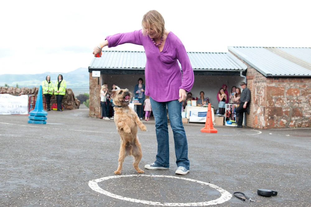 Kippen Street Fayre - Dog Show - June 2012