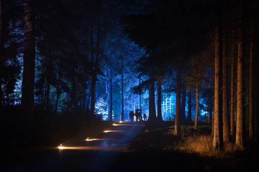 Enchanted Forest 2013 - Faskally Wood