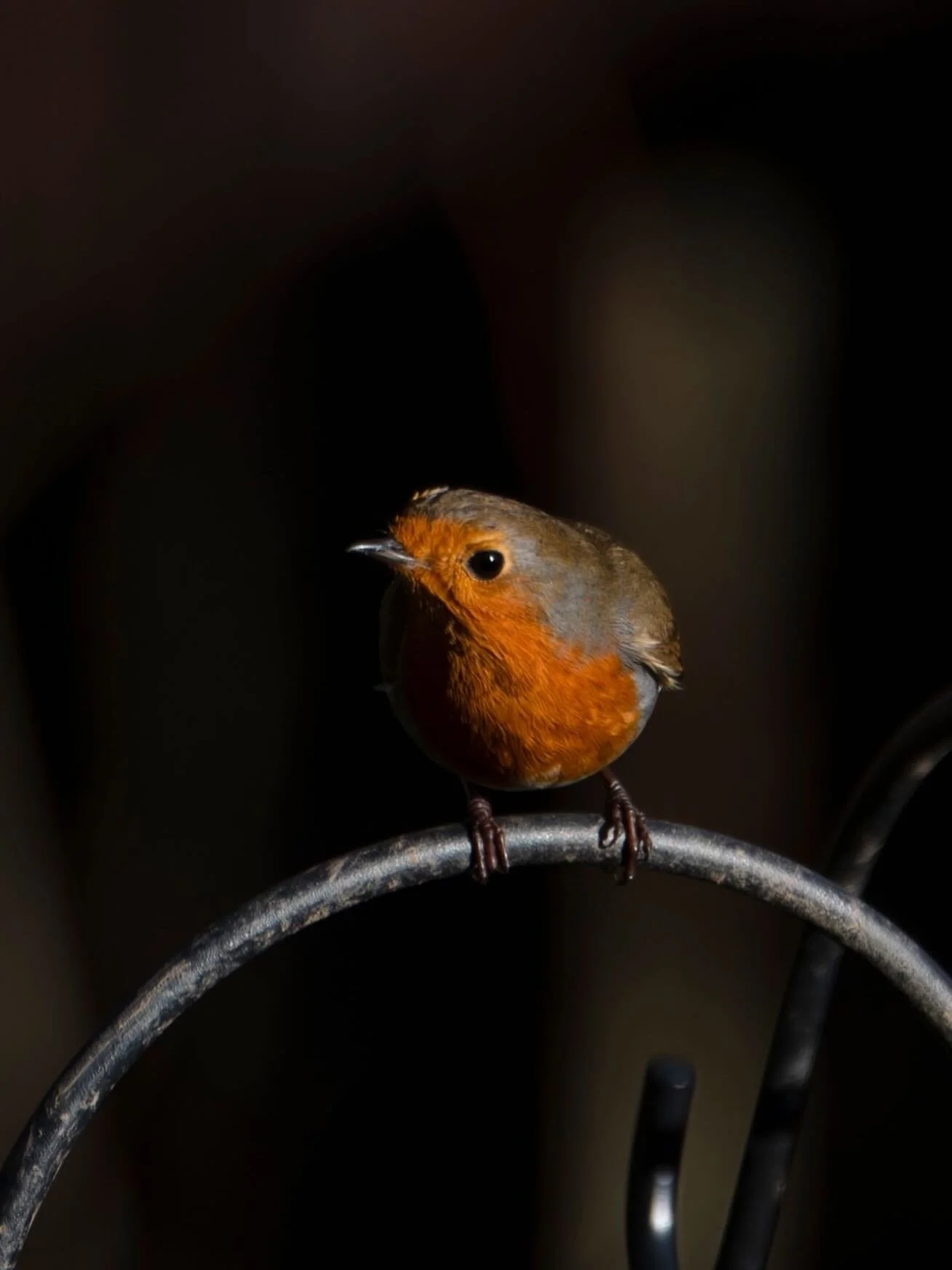 &ldquo;I need a house with a garden and a driveway&rdquo; - I have spouted this for so long I can&rsquo;t quite believe I&rsquo;ve made it happen. But I was seeking more than a garden and a driveway, it was about a different kind of home, a different