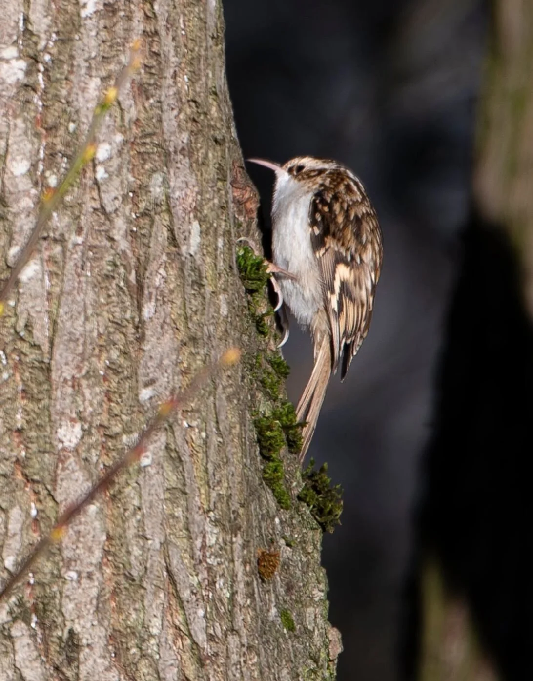 I&rsquo;ve been quiet here on the grid for too long. Life and work have both been intense, and the longer I neglected my socials, the more overwhelming they became. I have so much to tell you and so many photos to share. But, for now, instead of shar