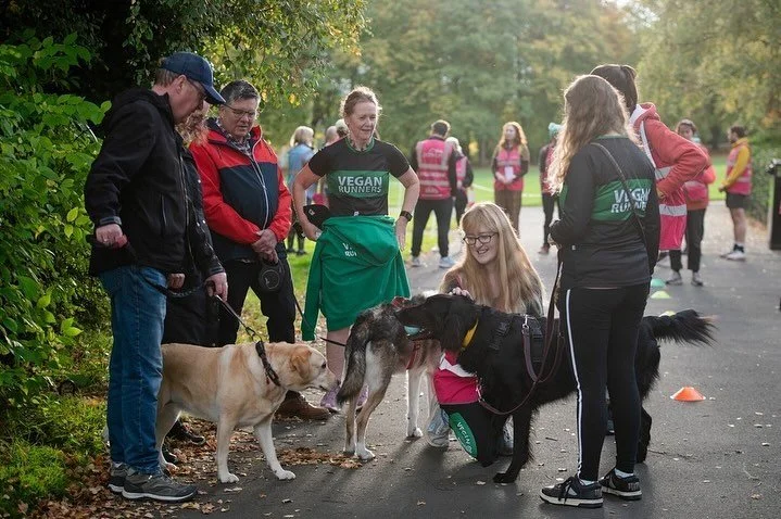 If you don&rsquo;t follow my Insta stories then you&rsquo;re missing what I&rsquo;m up to behind the camera (and most of my content, tbh), so allow me to brag for a minute. A few weeks ago I ran my first half marathon! I&rsquo;m still so proud of mys