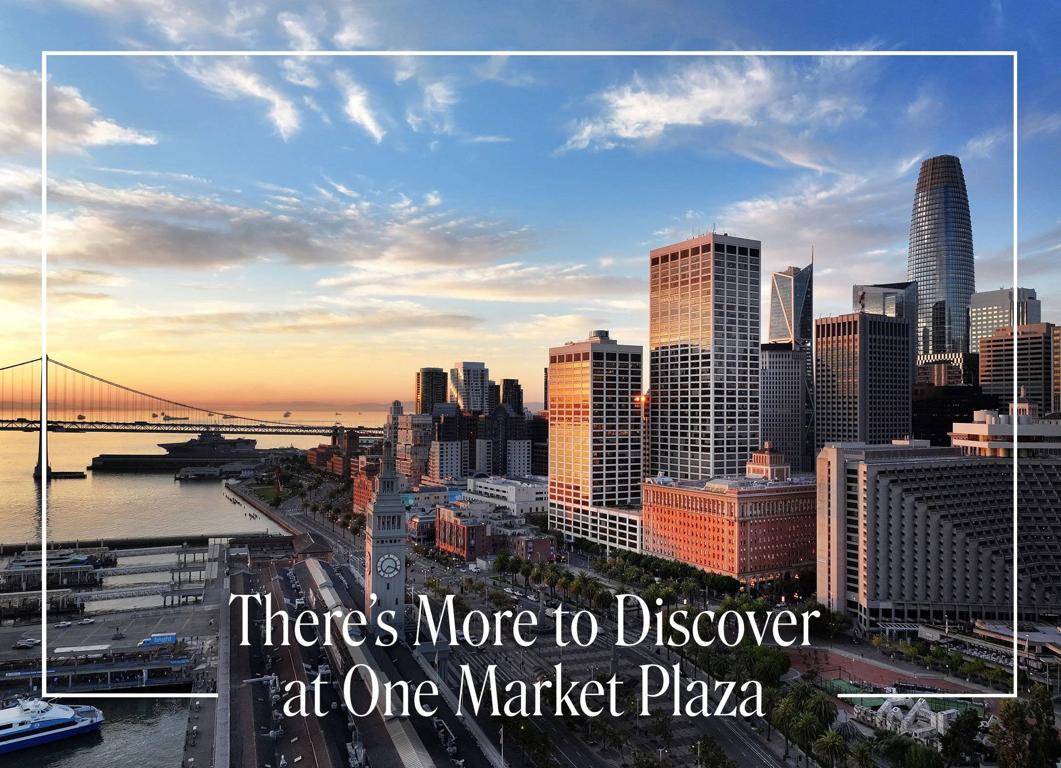 one-market-postcard-optionsArtboard 1 copy 4_2.jpg