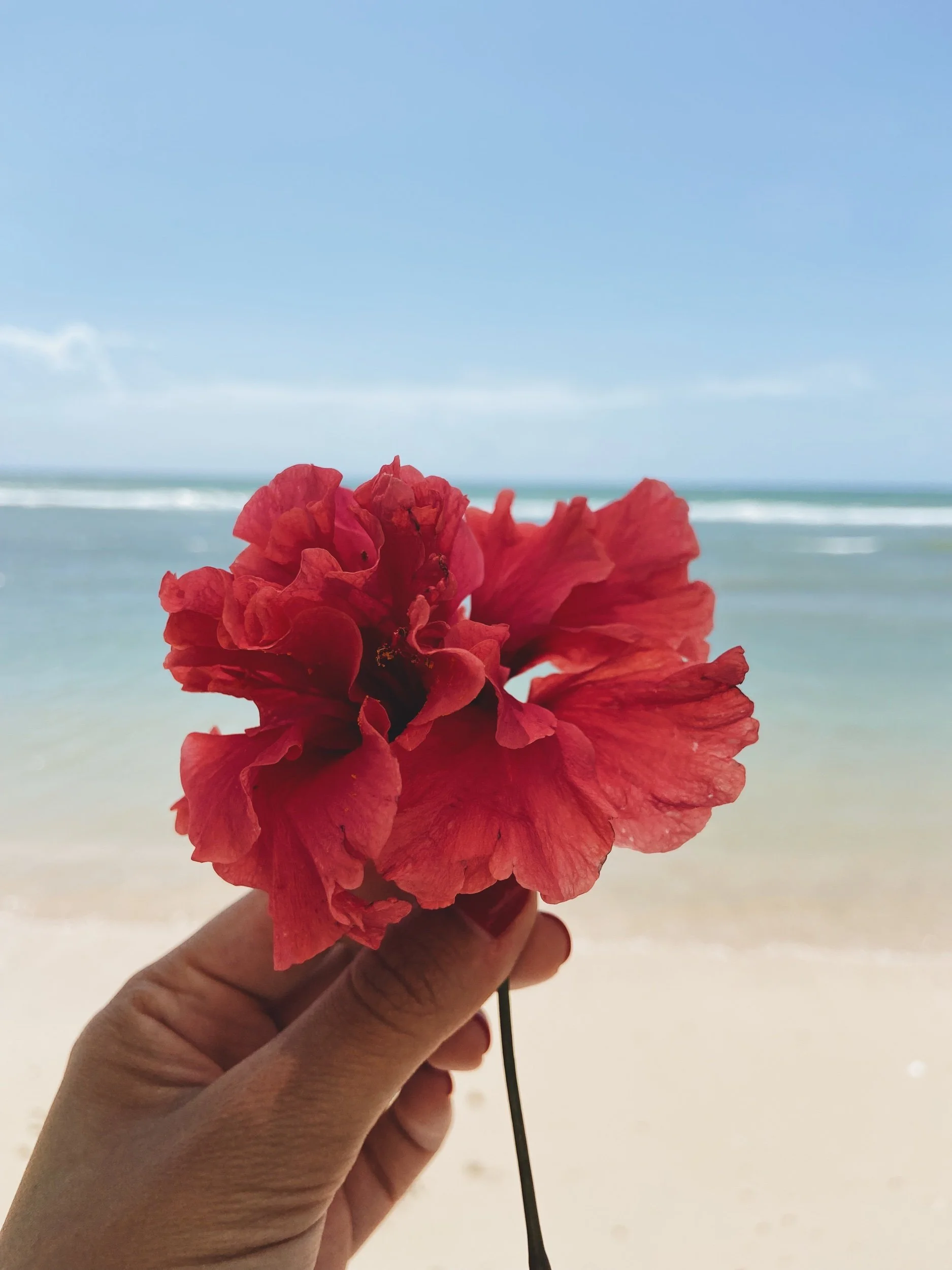 Resting in God’s Promises