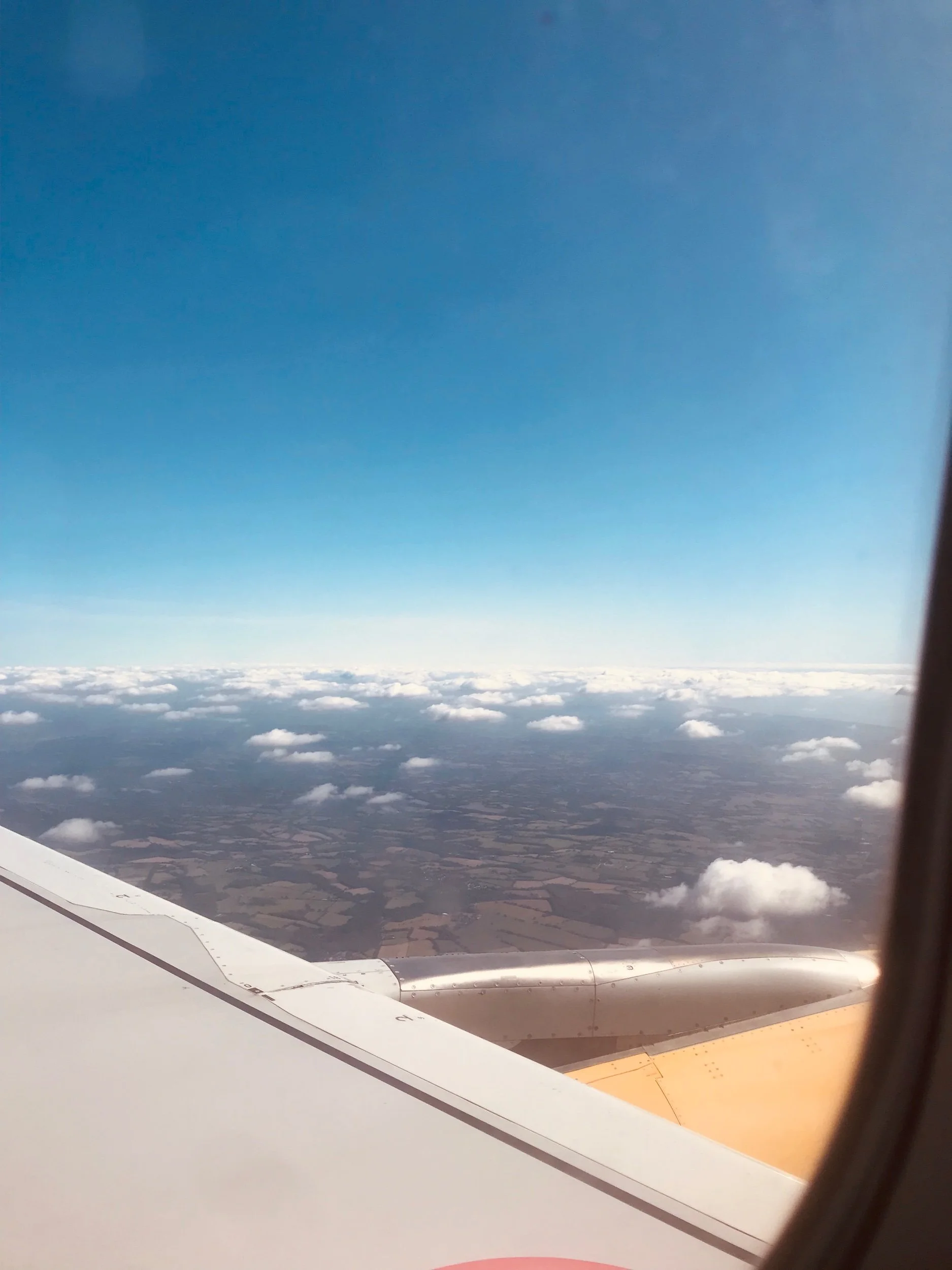 Trusting in the Turbulence