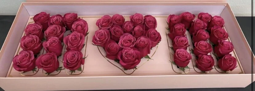 3EE2A117-19DF-4D53-B7BD-FB572B84EBED