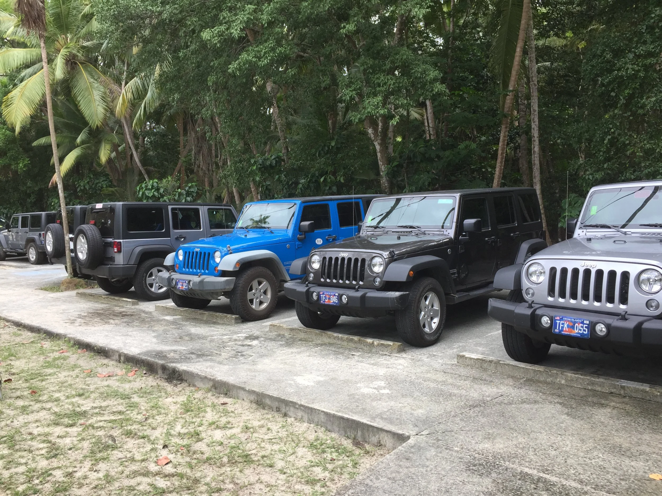 A row of Jeeps. Ours is second from the right.