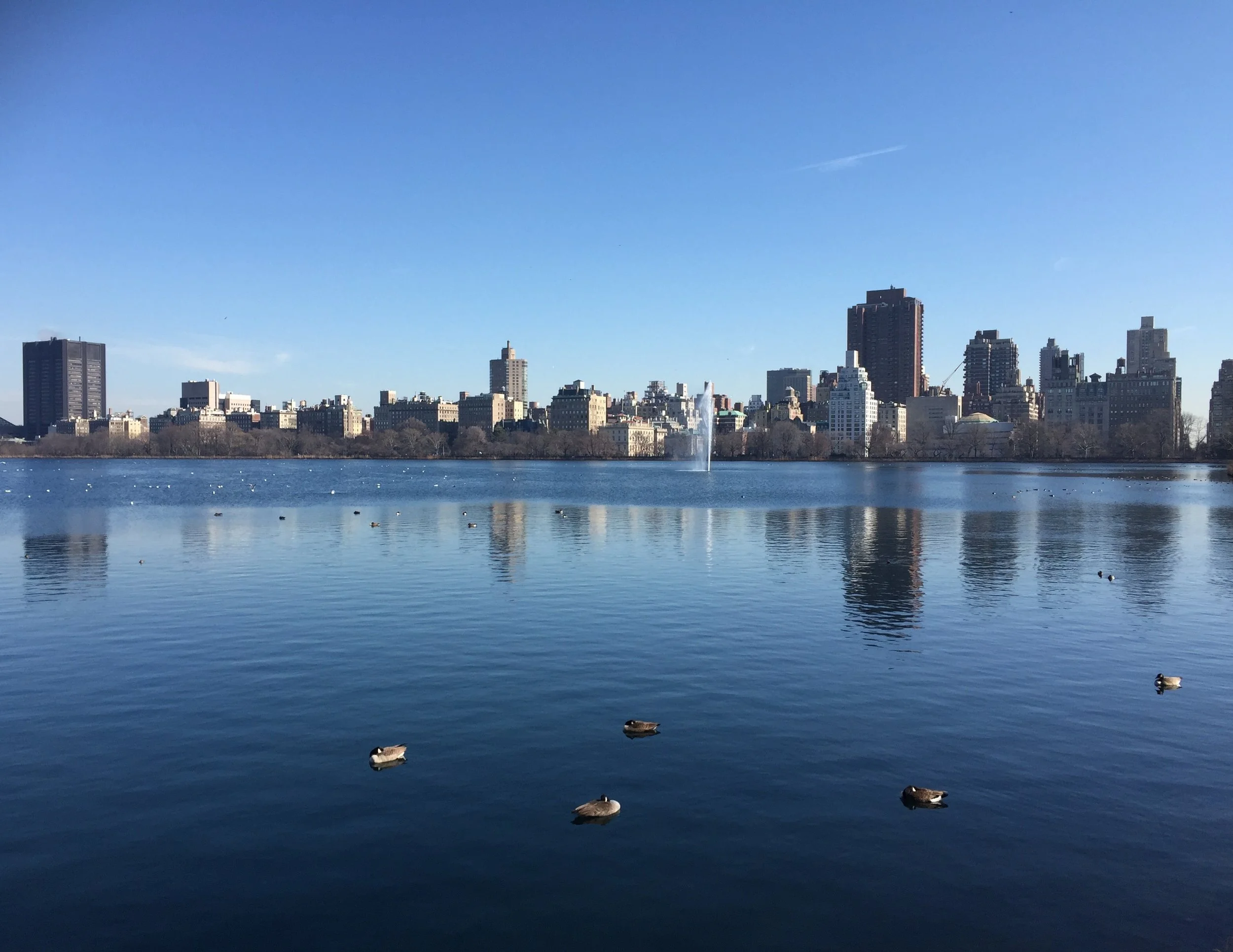 A view of the NYC skyline from Central Park on our way to The Met.