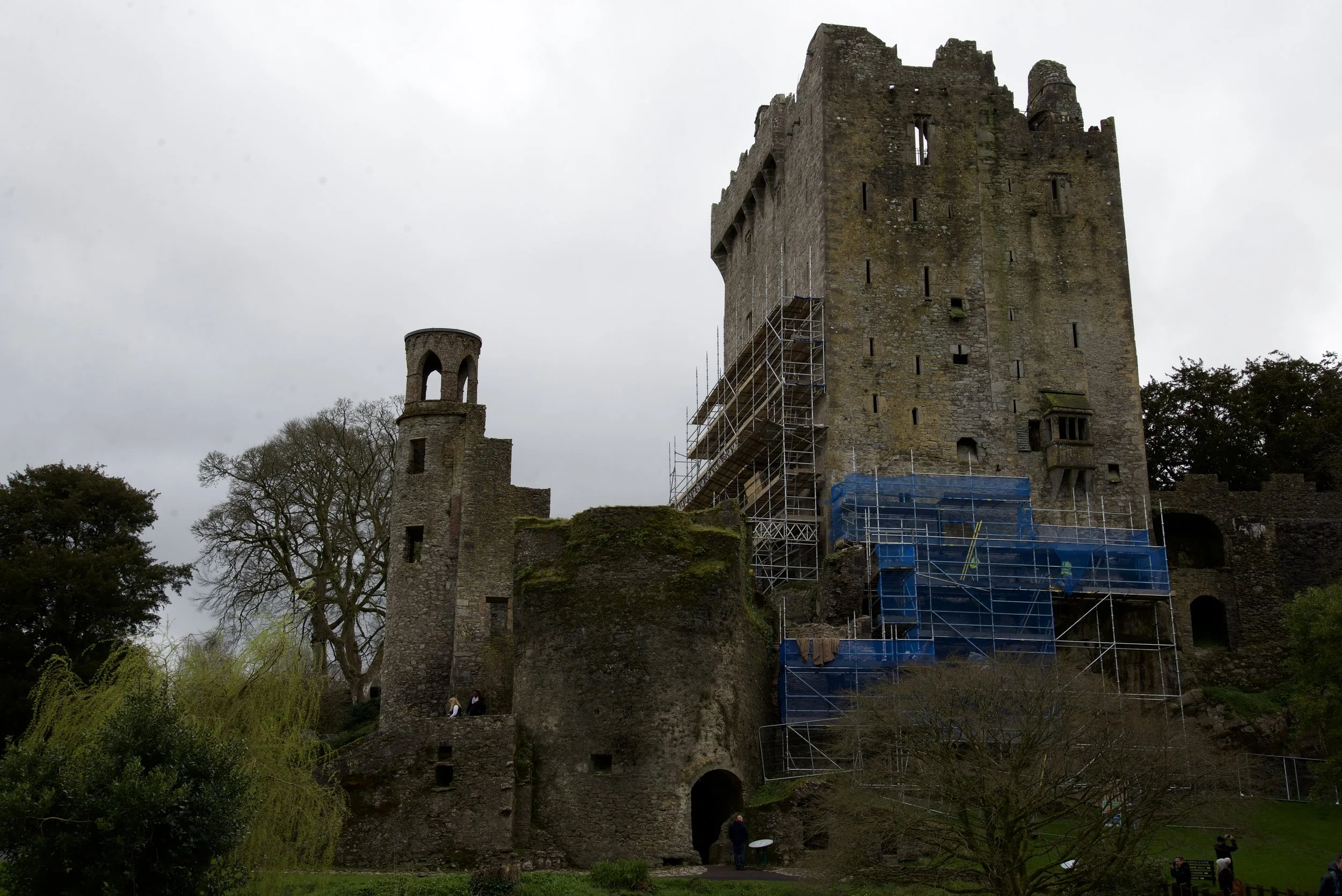 The side view of Blarney Castle. The scaffolding is a little ugly, but it's got a nice romantic air about it.