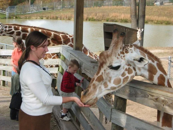 P-day at the Metropolitan Richmond Zoo. Missionaries could get in free, and it happened to be my birthday that day, so we celebrated by feeding giraffes. It was gross.