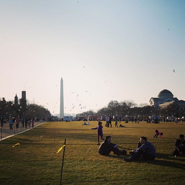 Another gorgeous day in DC; seriously amazing weather for February! #dc #travelgram #lastday #backtoreality #nationalmall