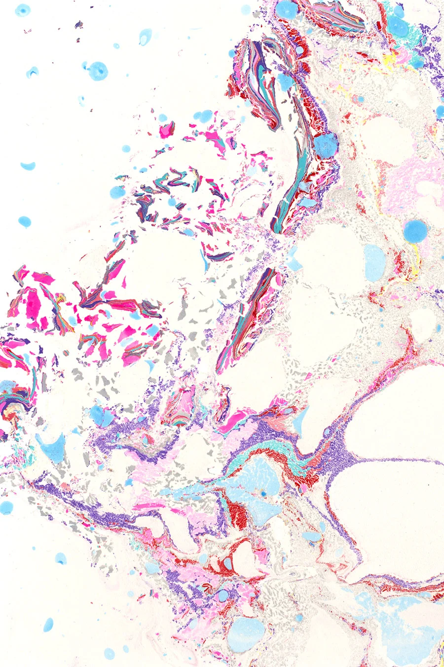 The Brain Orgasm No. 12 