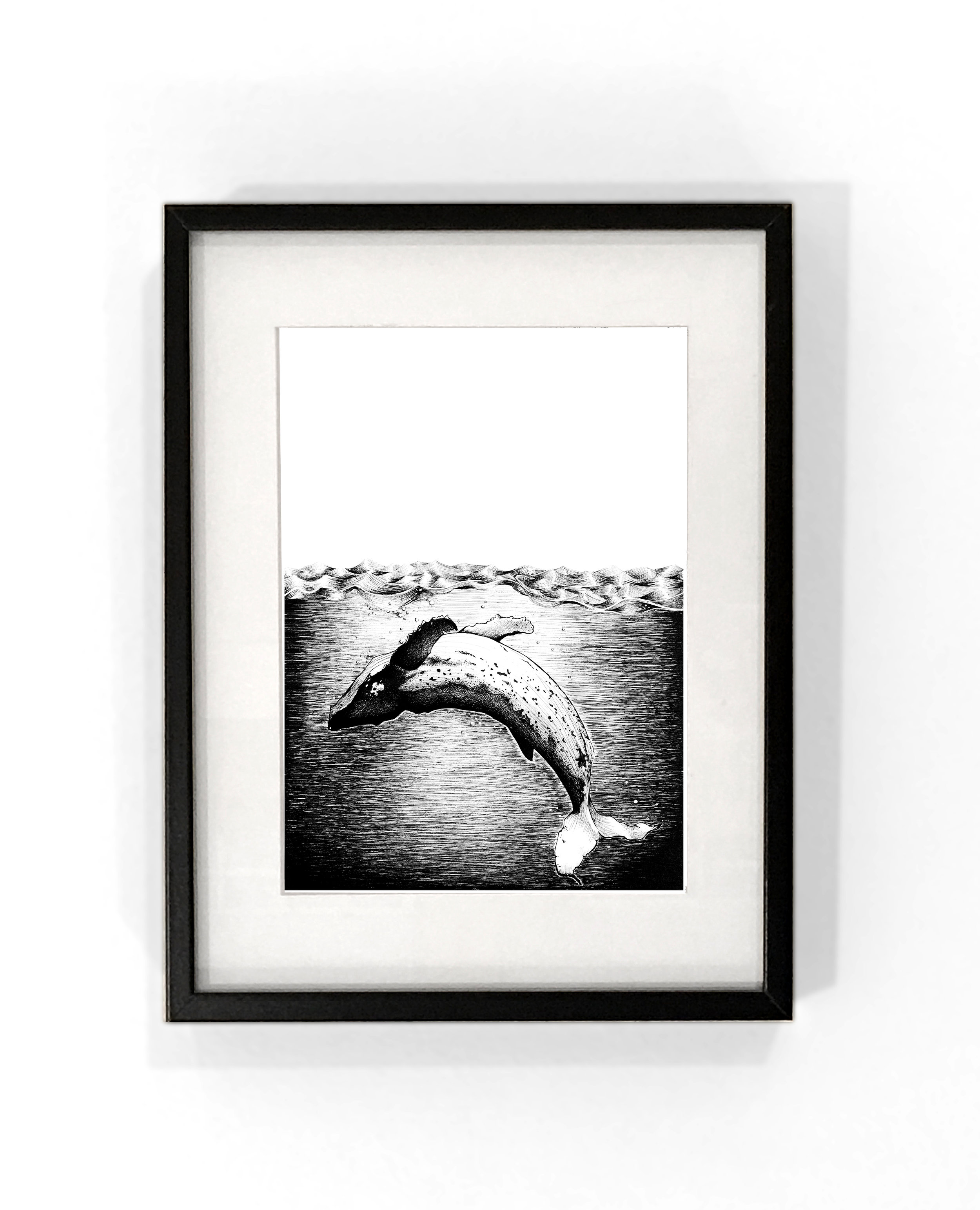 Whaleframed.jpg