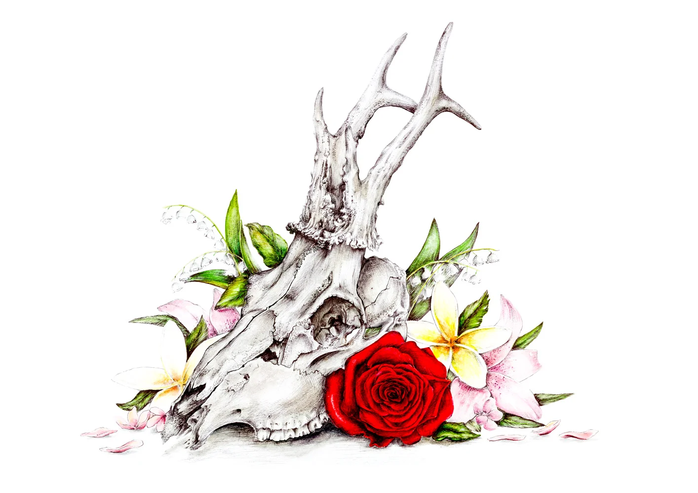 Treasuresinthewoods_A3web.jpg