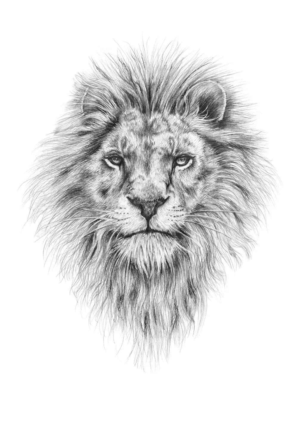 Aslan_A4_W.jpg