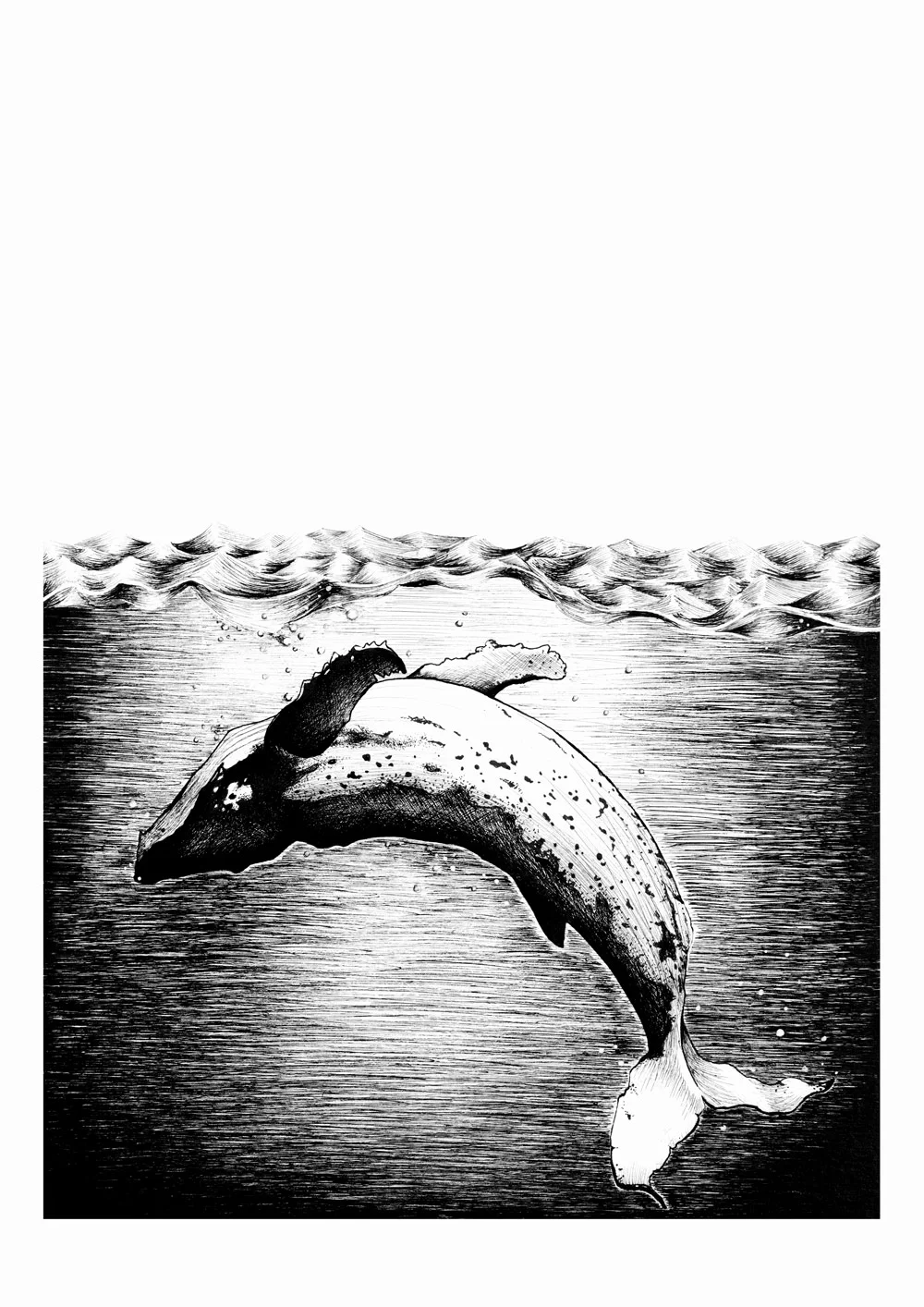 Whale_A4_W.jpg
