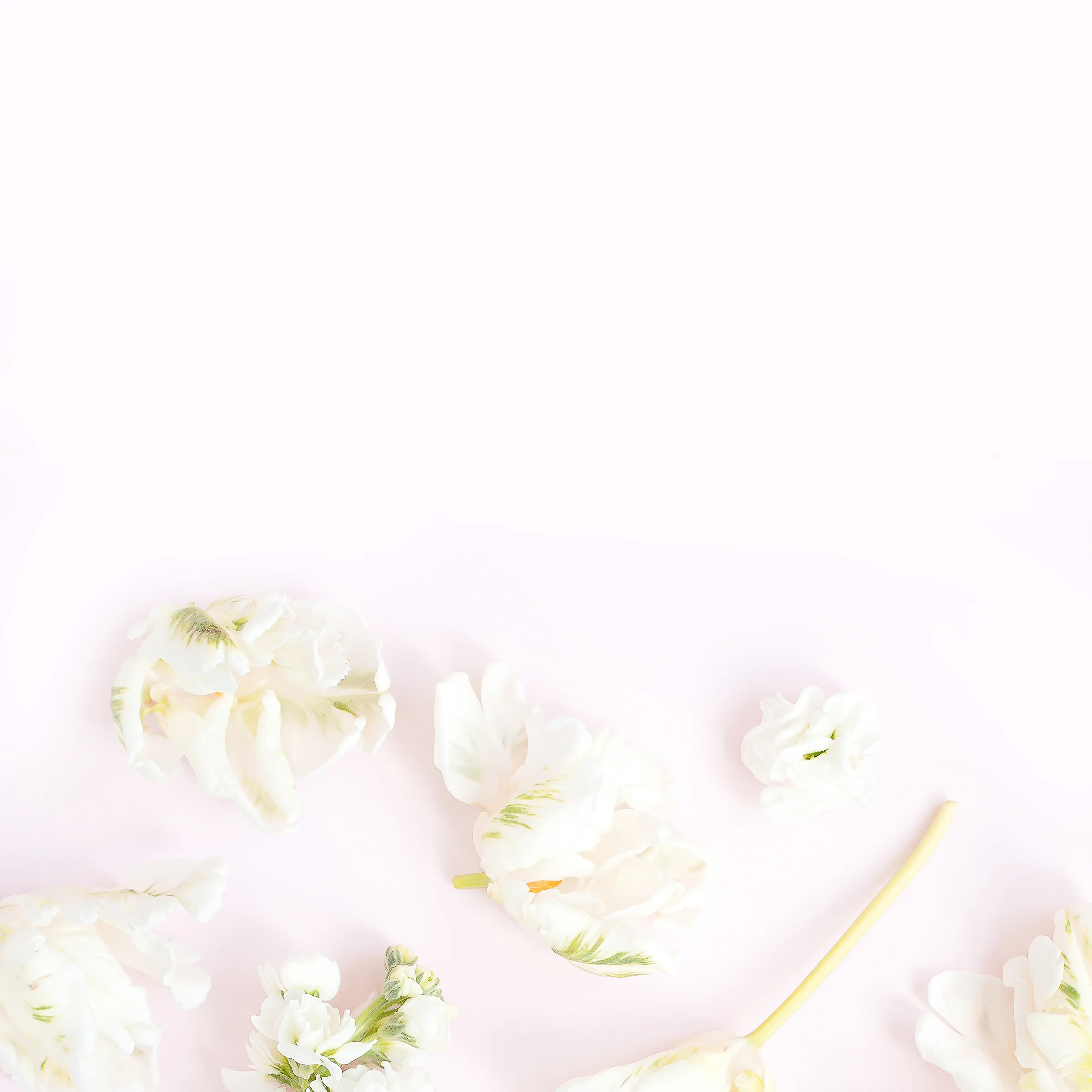 haute-chocolate-styled-stock-photography-pink-mint-backgrounds-final-6.jpg