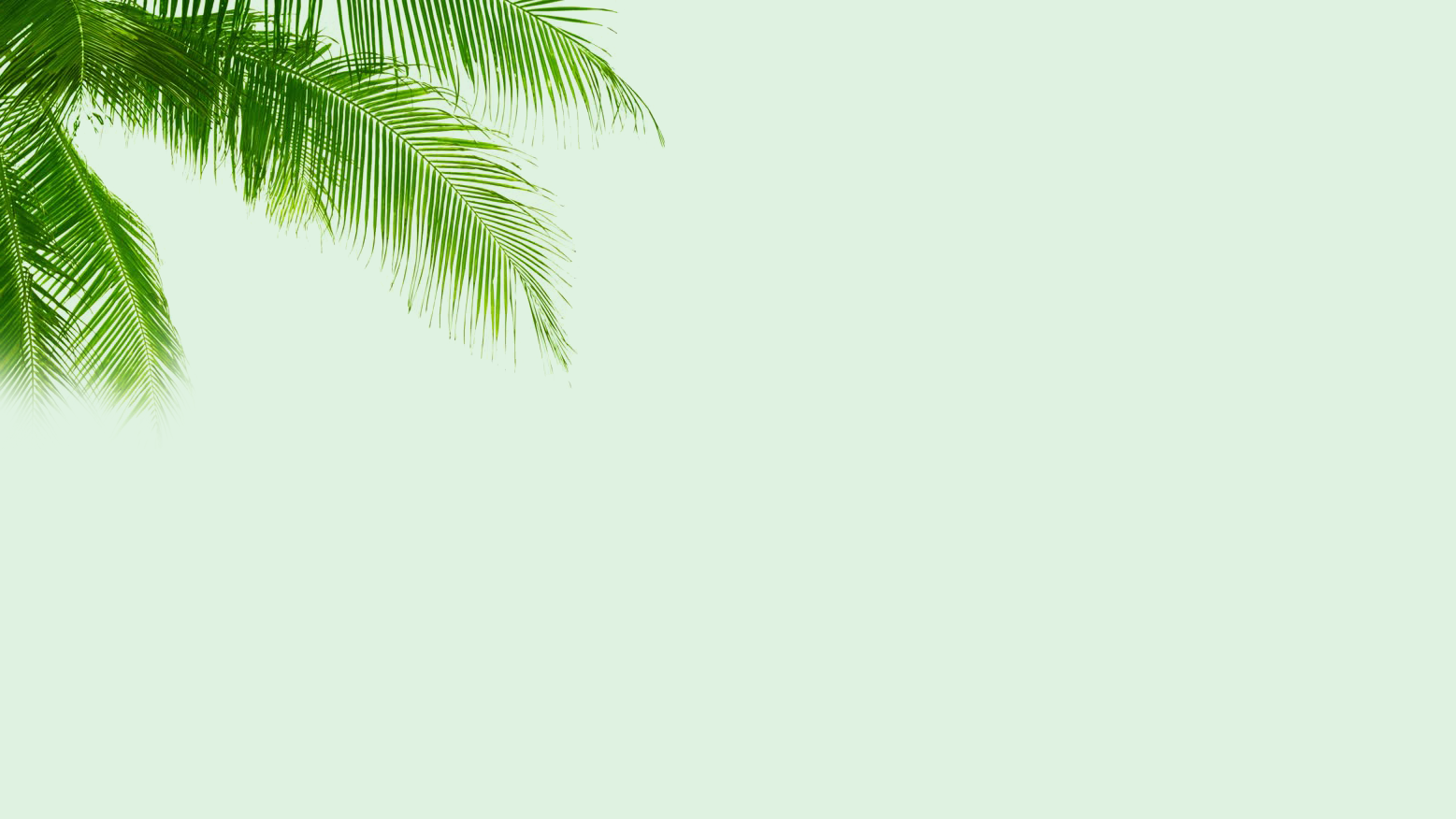 3_new.png