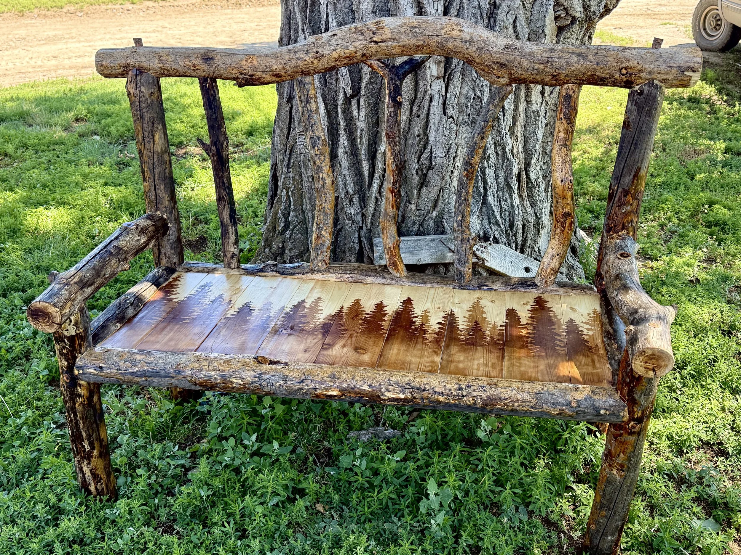 Forest Bench