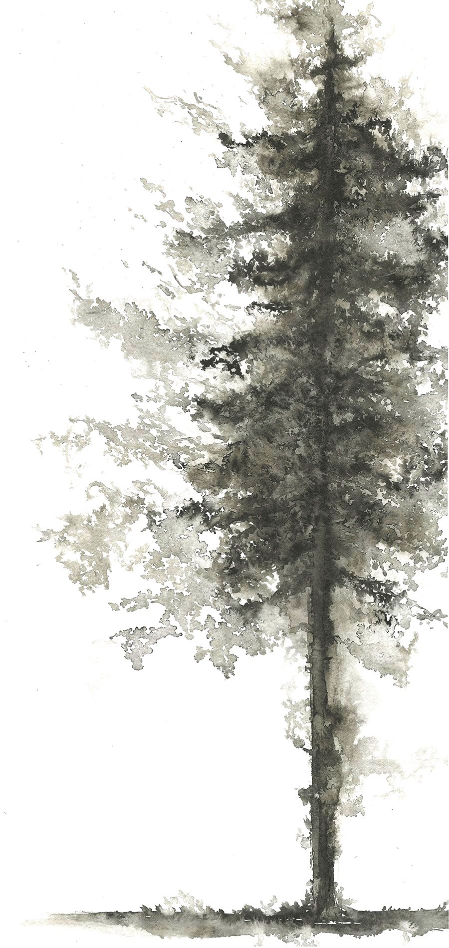 ETHEREAL PINE