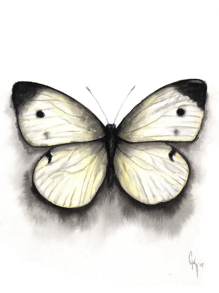 Cabbage White