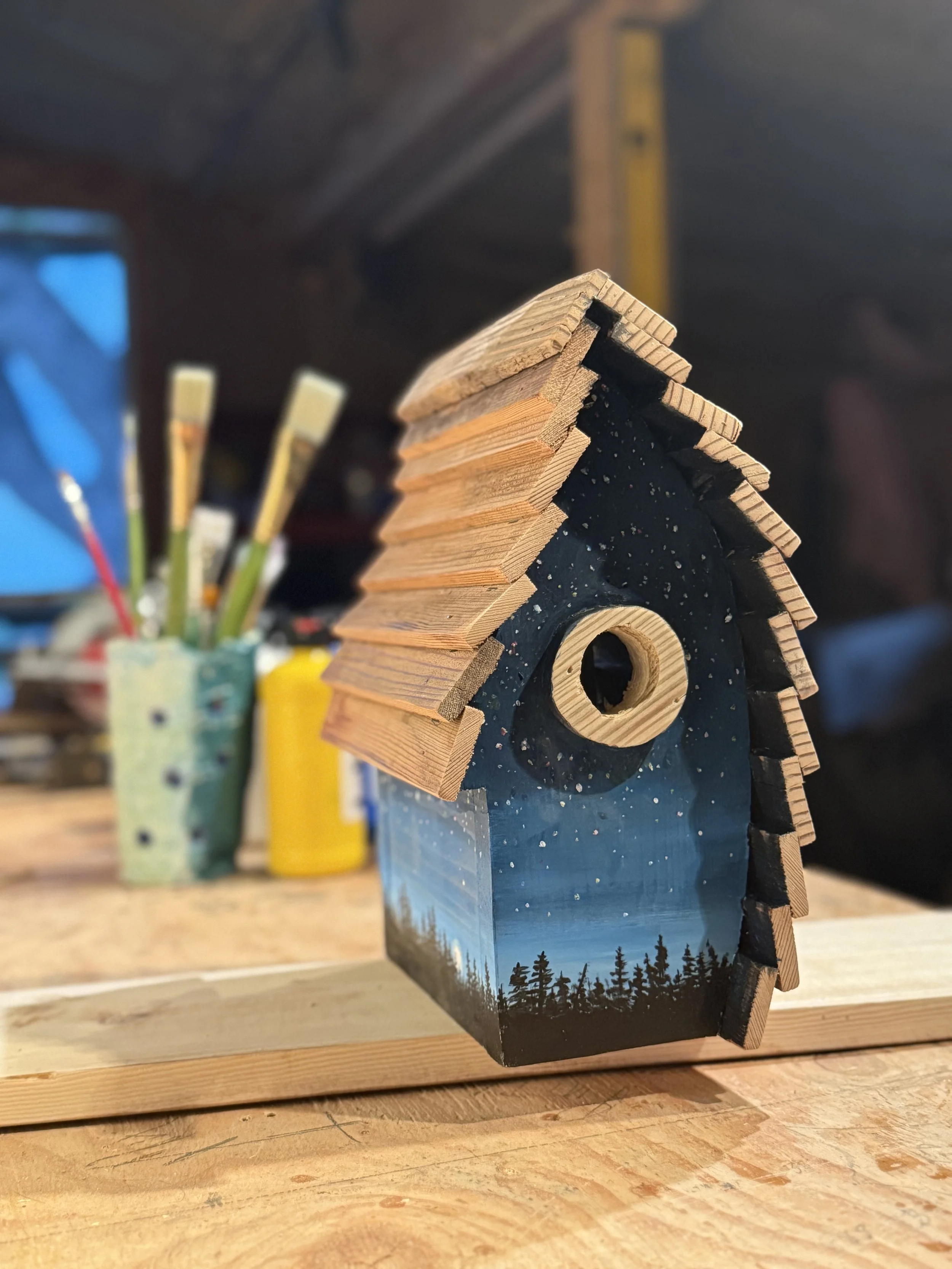 Night Sky Birdhouse