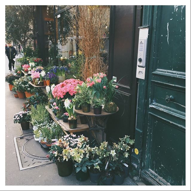 Beauty at every corner... snapped this in the third arrondissmont on a brisk afternoon. #paris #flowershop #botanical #streetsofparis #flowers #floral #parislove