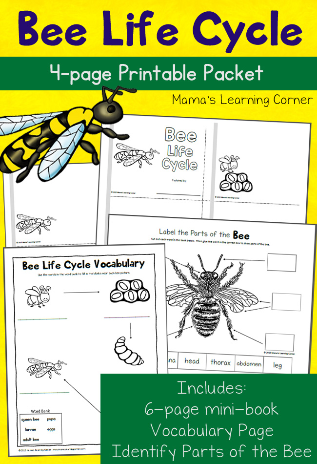 10 fun and easy bee activities for spring mommy is my teacher
