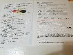 20190307_203516.jpg