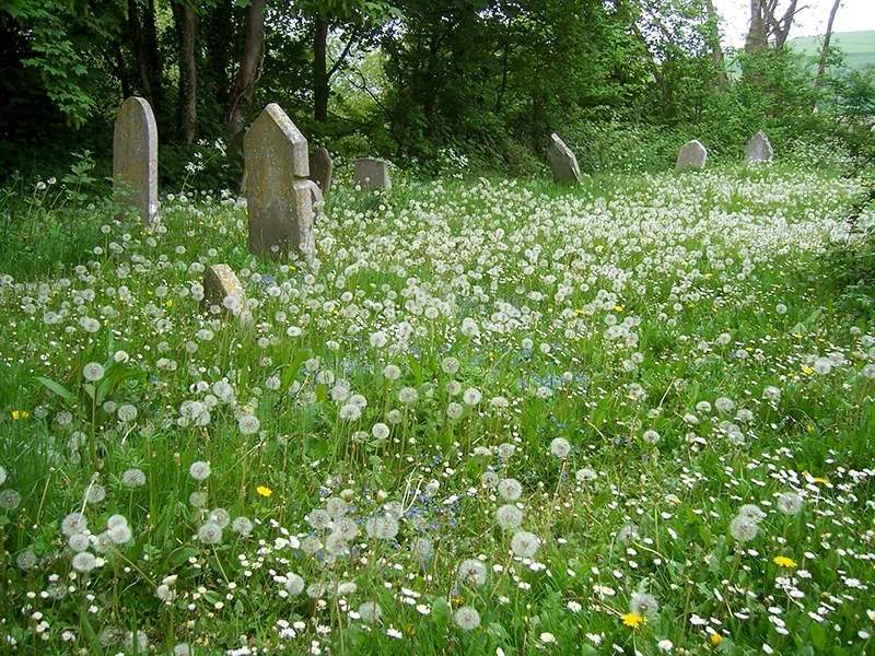 Bereavement and grief counselling in Lewes offering compassionate support for grief, loss, and life changes. Professional counselling to help you understand and navigate bereavement.