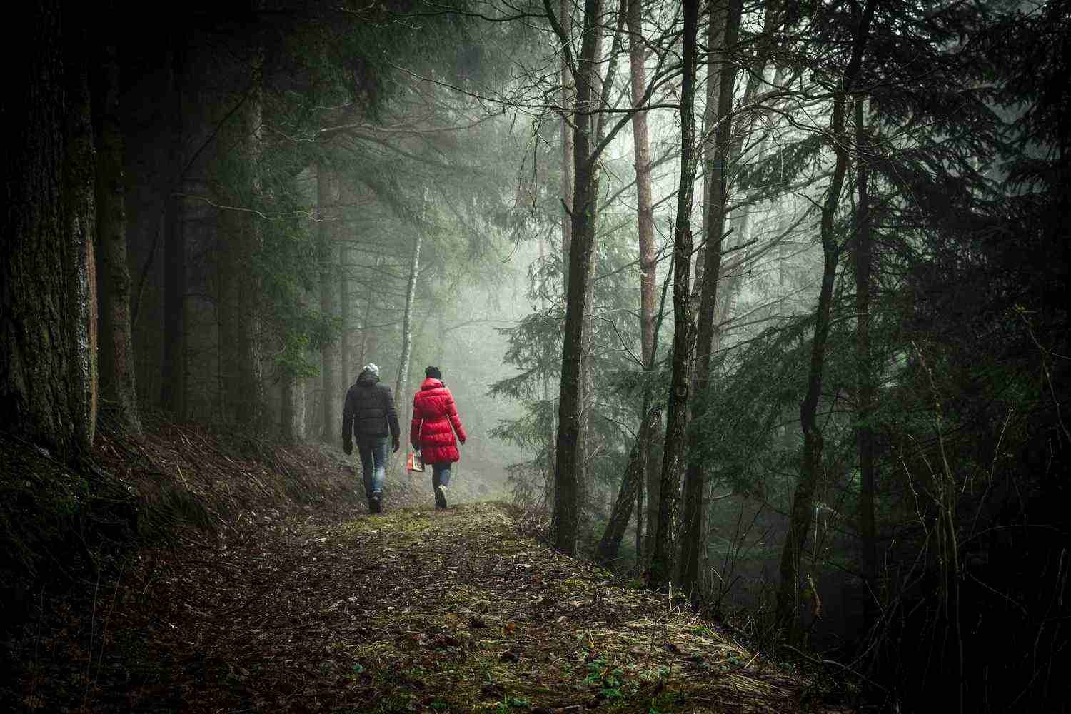 Ecotherapy-woods
