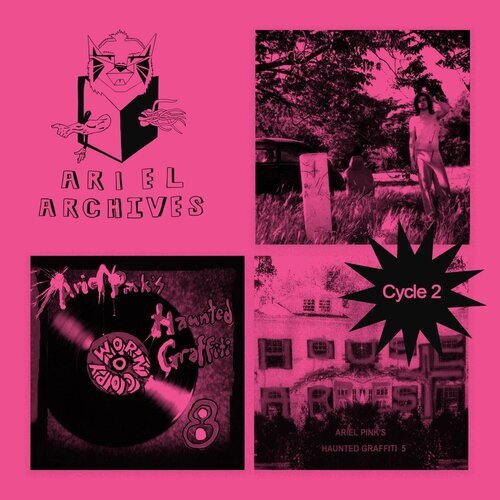 Ariel Pink Archives