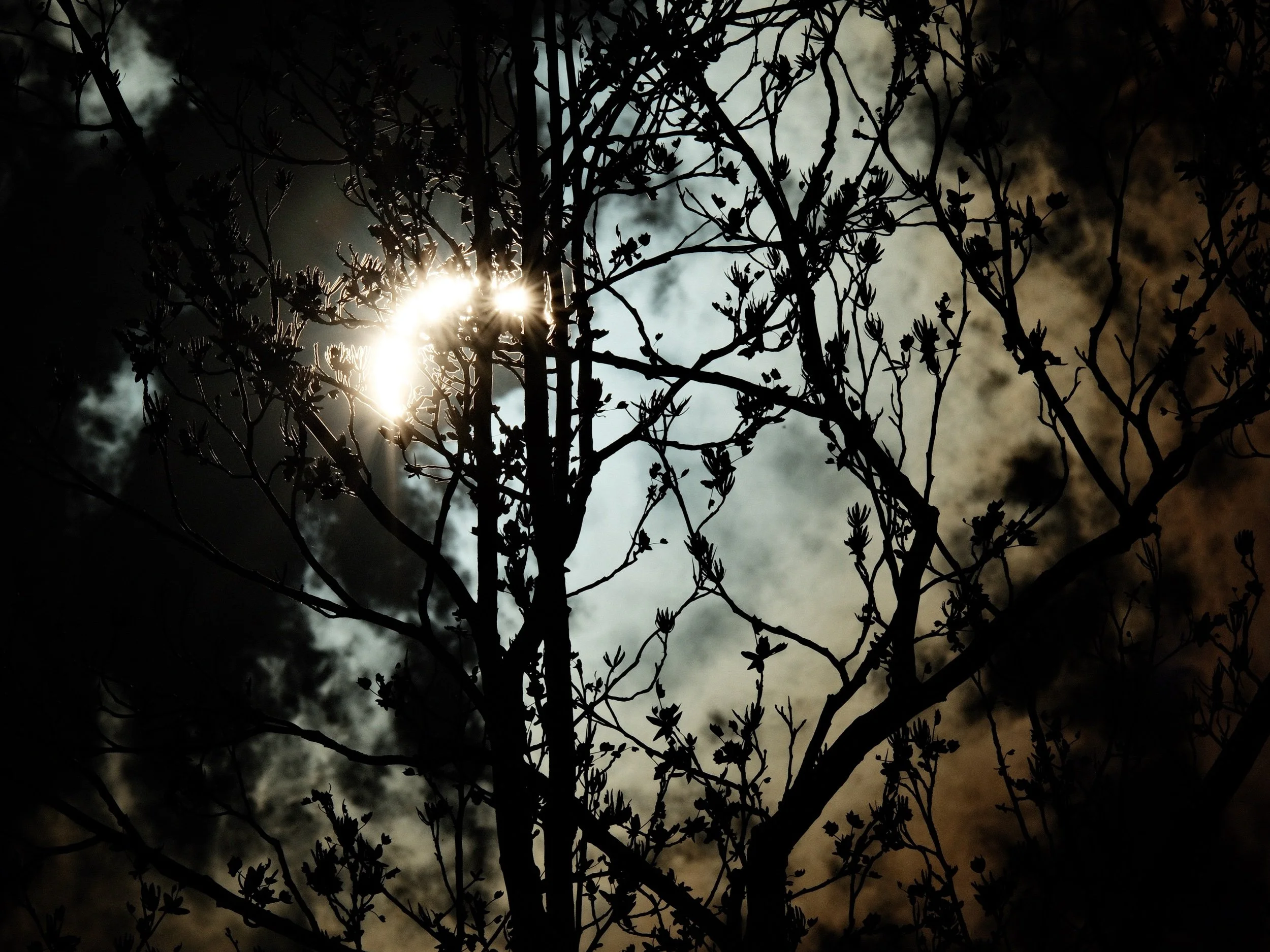 57595798-AB05-4A19-9C78-68225EFED93C.jpeg