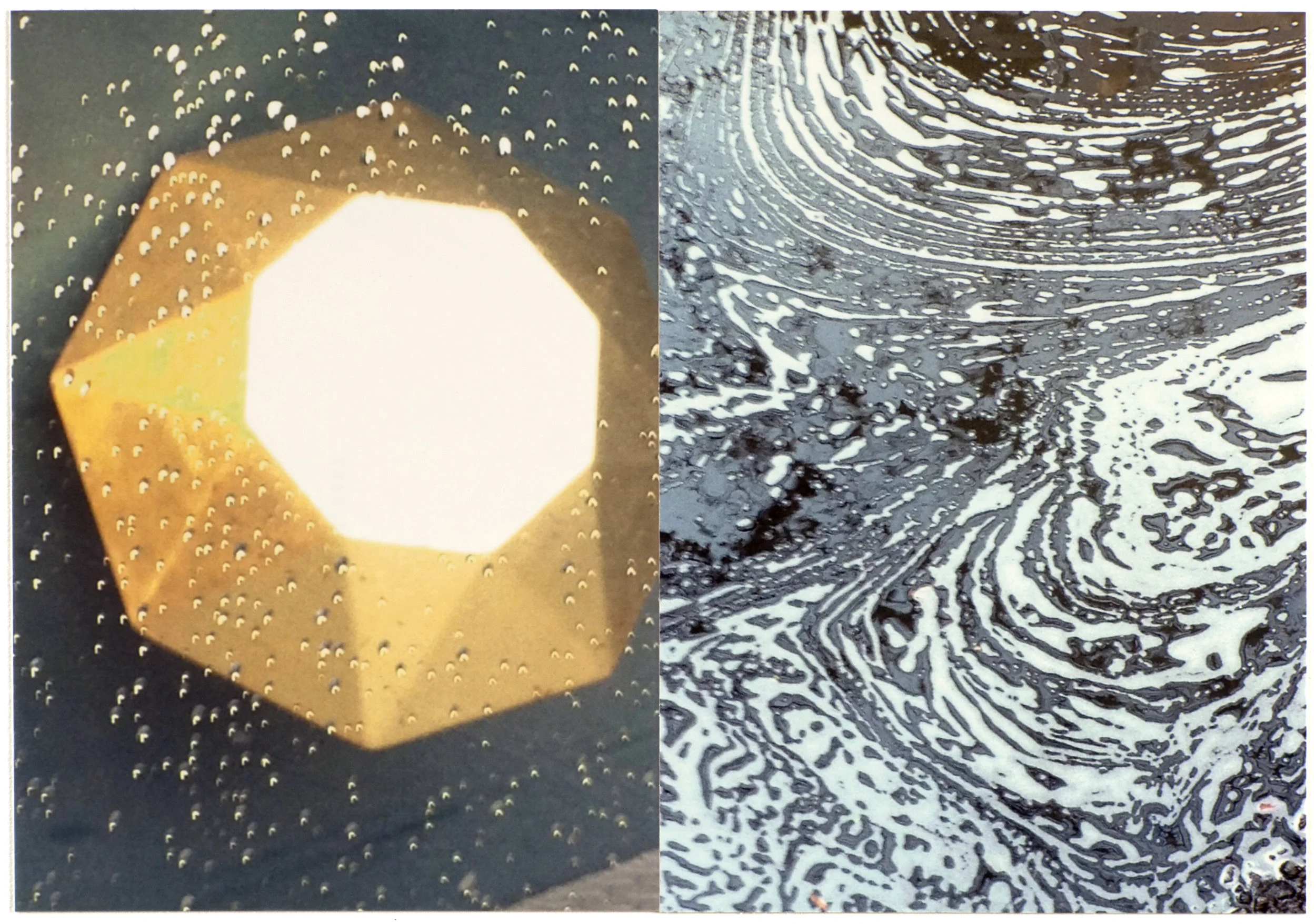 9002_Lerner 2726.jpg