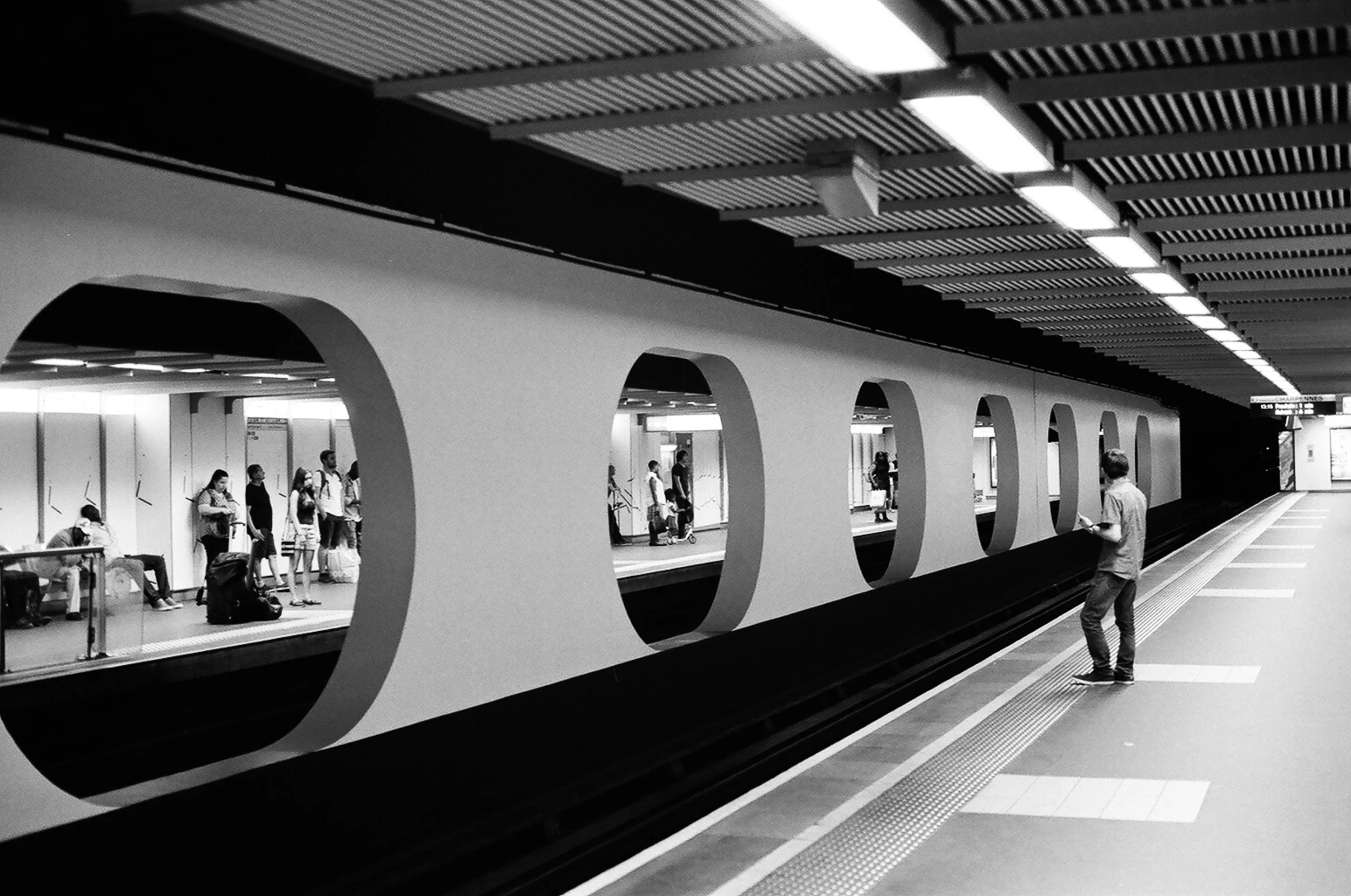 49950011-50.jpg