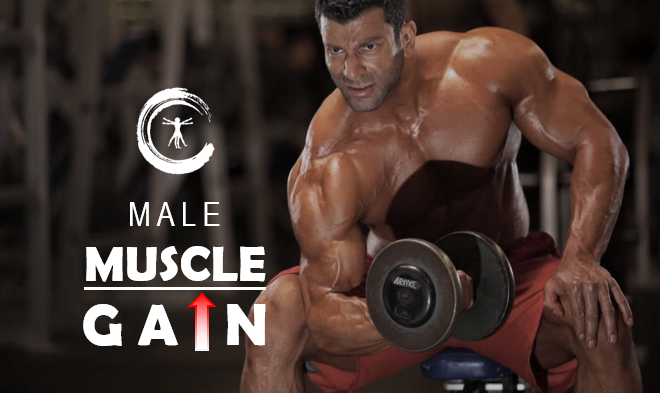 MALE MUSCLE.png