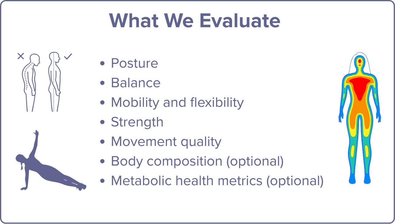 A slide titled "What We Evaluate" listing aspects such as posture, balance, mobility and flexibility, strength, movement quality, body composition, and metabolic health metrics, with illustrations of a person leaning forward and an individual doing a plank, alongside a heatmap of the human body.