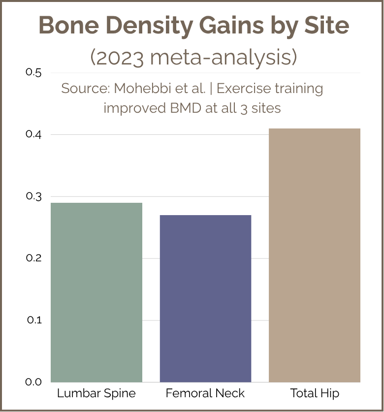 Bar graph titled 'Bone Density Gains by Site (2023 meta-analysis)' showing data from Mohebbi et al. about exercise training improved BMD at three sites: Lumbar Spine, Femoral Neck, and Total Hip, with the highest gain at the Total Hip.