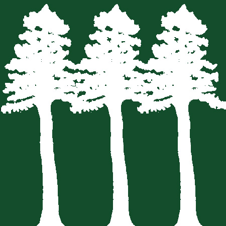 TREES At least two of the redwoods in the park are dying and need to be removed.