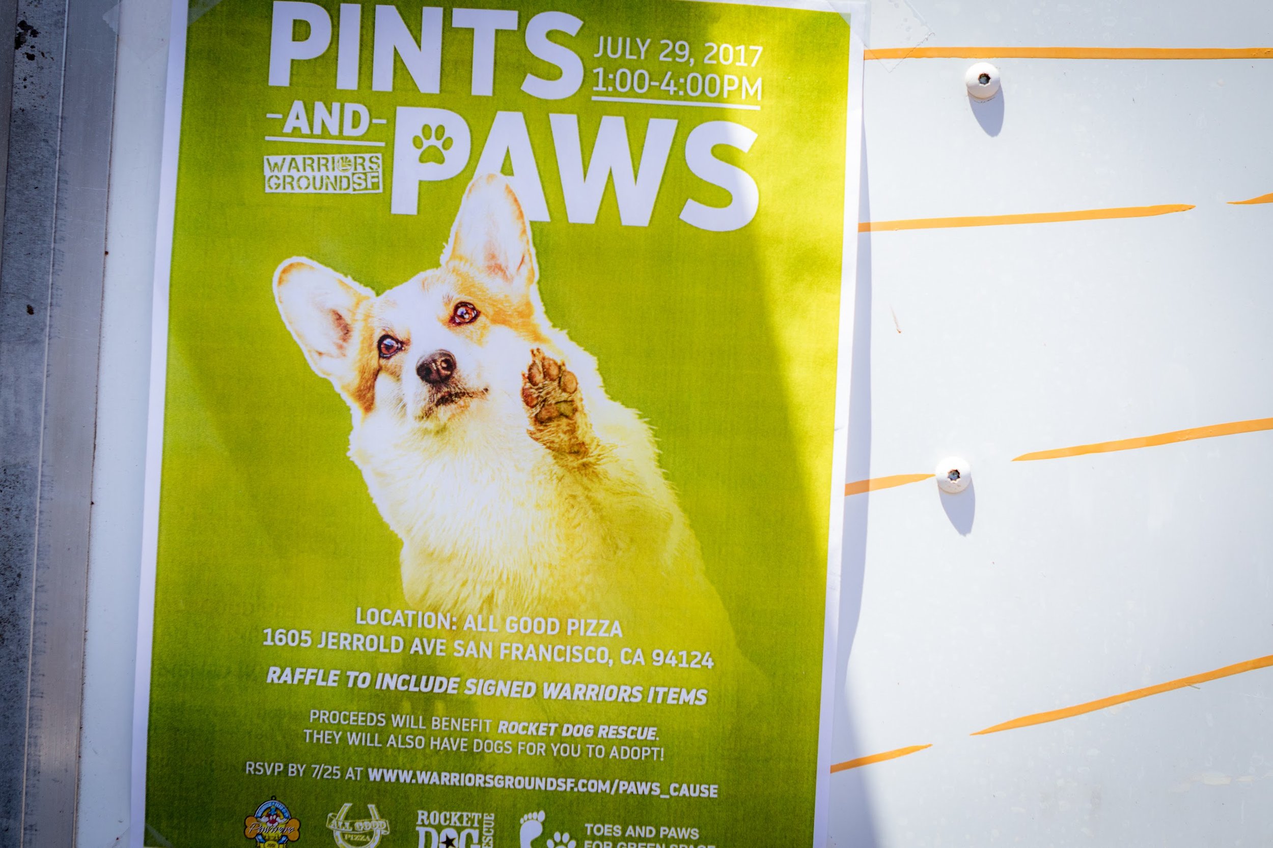 PintsandPaws-9.jpg