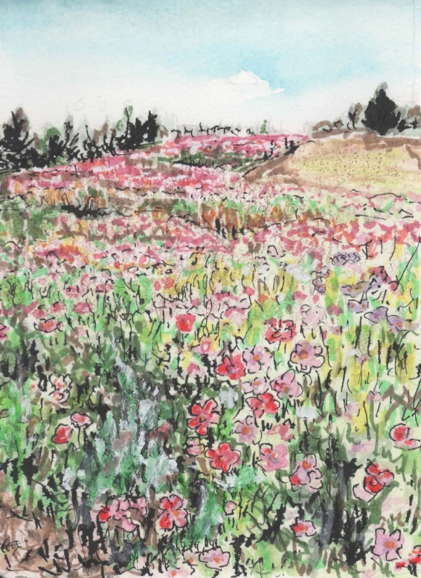 melissa hirshburg art print.jpeg