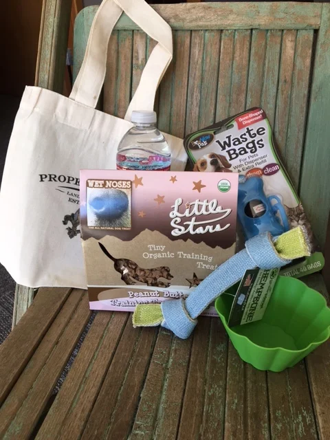 Little doc picnic pic.jpg