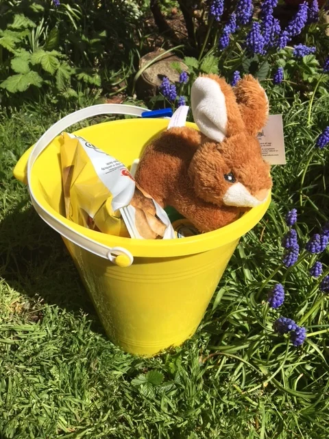 Bunny beach bucket.JPG